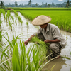 Recognising the Deep Plight of Our Farmers and the Key Role They Play