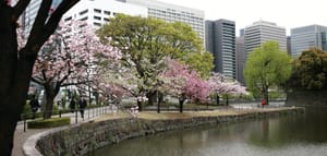 Tokyo Trippin’