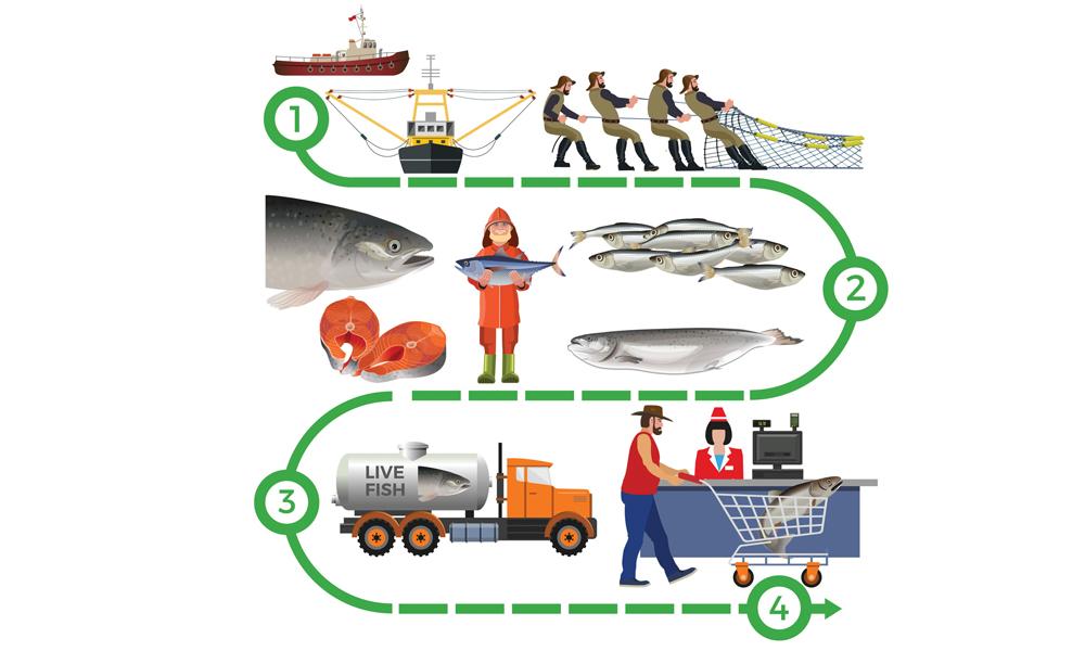 A Sustainable Seafood Supply Chain Requires Responsible Practices At